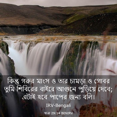 Picture 03 - যাত্ৰা 29:14 BENIRV - কিন্তু গরুর মাংস ও - Bible Verse Picture
