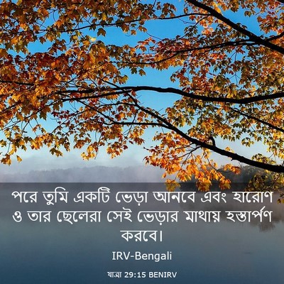 Picture 03 - যাত্ৰা 29:15 BENIRV - পরে তুমি একটি - Bible Verse Picture