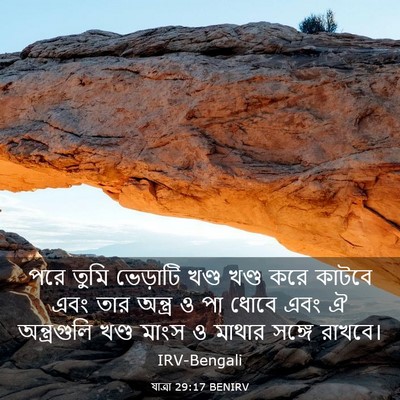 Picture 03 - যাত্ৰা 29:17 BENIRV - পরে তুমি ভেড়াটি - Bible Verse Picture