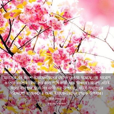 Picture 03 - যাত্ৰা 29:28 BENIRV - মাংসের এই অংশ - Bible Verse Picture