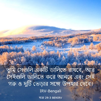 Picture 03 - যাত্ৰা 29:3 BENIRV - তুমি সেগুলি একটি - Bible Verse Picture