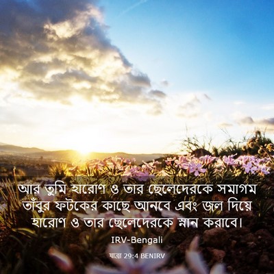 Picture 03 - যাত্ৰা 29:4 BENIRV - আর তুমি হারোণ ও তার - Bible Verse Picture