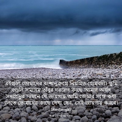 Picture 03 - যাত্ৰা 29:42 BENIRV - এইগুলি তোমাদের - Bible Verse Picture