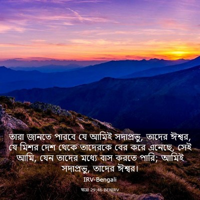 Picture 03 - যাত্ৰা 29:46 BENIRV - তারা জানতে পারবে - Bible Verse Picture