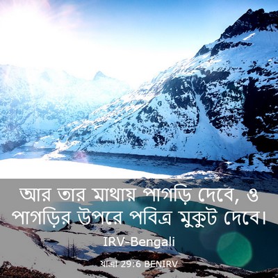 Picture 03 - যাত্ৰা 29:6 BENIRV - আর তার মাথায় - Bible Verse Picture