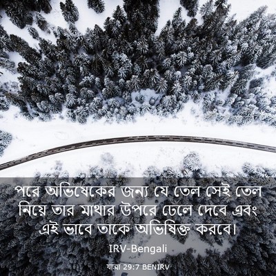 Picture 03 - যাত্ৰা 29:7 BENIRV - পরে অভিষেকের জন্য - Bible Verse Picture