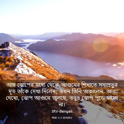 Picture 03 - যাত্ৰা 3:2 BENIRV - আর ঝোপের মধ্যে - Bible Verse Picture