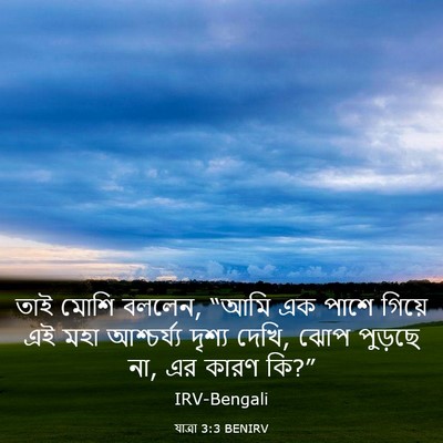 Picture 03 - যাত্ৰা 3:3 BENIRV - তাই মোশি বললেন, - Bible Verse Picture