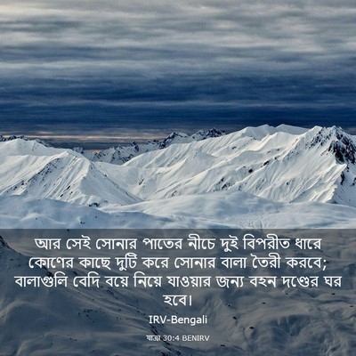 Picture 03 - যাত্ৰা 30:4 BENIRV - আর সেই সোনার পাতের - Bible Verse Picture