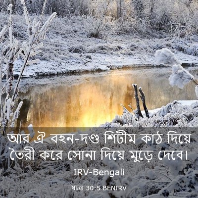 Picture 03 - যাত্ৰা 30:5 BENIRV - আর ঐ বহন-দণ্ড শিটীম - Bible Verse Picture
