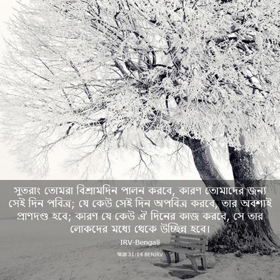 Picture 03 - যাত্ৰা 31:14 BENIRV - সুতরাং তোমরা - Bible Verse Picture