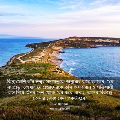 Picture 03 - যাত্ৰা 32:11 BENIRV - কিন্তু মোশি তাঁর - Bible Verse Picture