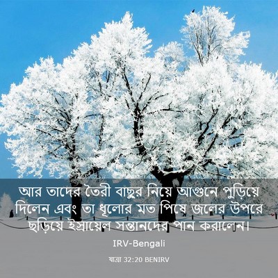 Picture 03 - যাত্ৰা 32:20 BENIRV - আর তাদের তৈরী - Bible Verse Picture