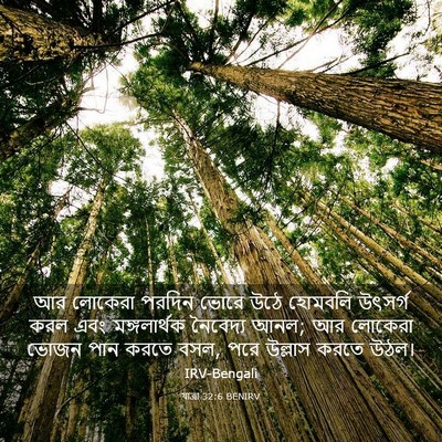 Picture 03 - যাত্ৰা 32:6 BENIRV - আর লোকেরা পরদিন - Bible Verse Picture