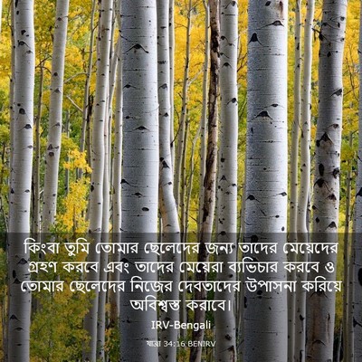 Picture 03 - যাত্ৰা 34:16 BENIRV - কিংবা তুমি তোমার - Bible Verse Picture