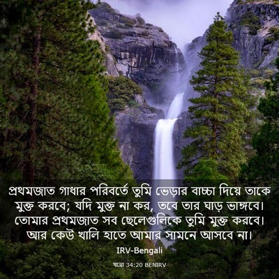 Picture 03 - যাত্ৰা 34:20 BENIRV - প্রথমজাত গাধার - Bible Verse Picture
