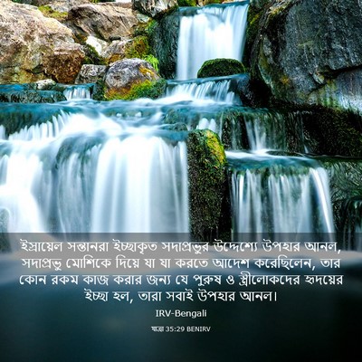 Picture 03 - যাত্ৰা 35:29 BENIRV - ইস্রায়েল - Bible Verse Picture