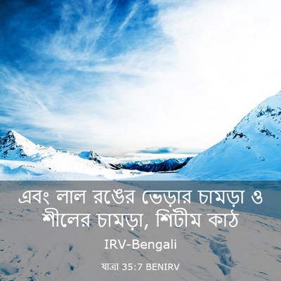 Picture 03 - যাত্ৰা 35:7 BENIRV - এবং লাল রঙের - Bible Verse Picture