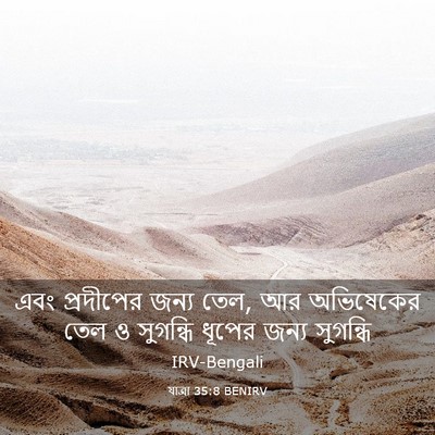 Picture 03 - যাত্ৰা 35:8 BENIRV - এবং প্রদীপের জন্য - Bible Verse Picture