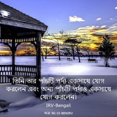 Picture 03 - যাত্ৰা 36:10 BENIRV - তিনি তার পাঁচটি - Bible Verse Picture