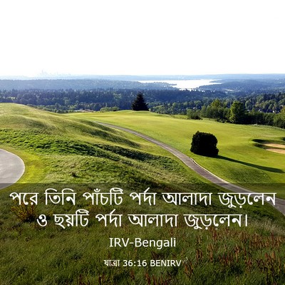 Picture 03 - যাত্ৰা 36:16 BENIRV - পরে তিনি পাঁচটি - Bible Verse Picture