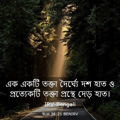 Picture 03 - যাত্ৰা 36:21 BENIRV - এক একটি তক্তা - Bible Verse Picture