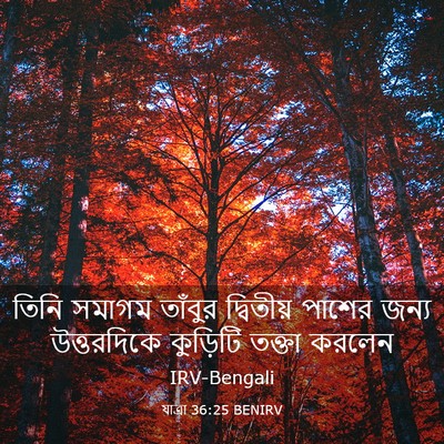 Picture 03 - যাত্ৰা 36:25 BENIRV - তিনি সমাগম তাঁবুর - Bible Verse Picture