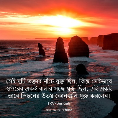 Picture 03 - যাত্ৰা 36:29 BENIRV - সেই দুটি তক্তার - Bible Verse Picture