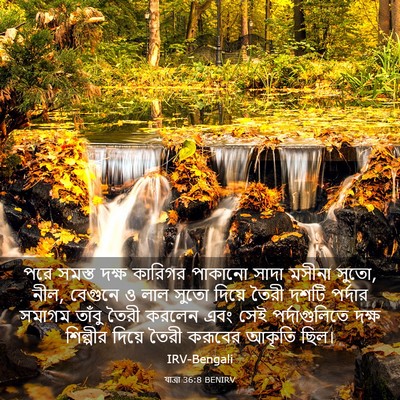 Picture 03 - যাত্ৰা 36:8 BENIRV - পরে সমস্ত দক্ষ - Bible Verse Picture