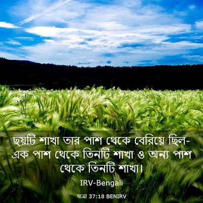 Picture 03 - যাত্ৰা 37:18 BENIRV - ছয়টি শাখা তার পাশ - Bible Verse Picture