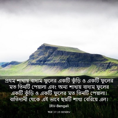 Picture 03 - যাত্ৰা 37:19 BENIRV - প্রথম শাখায় - Bible Verse Picture