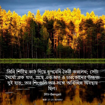 Picture 03 - যাত্ৰা 37:25 BENIRV - তিনি শিটীম কাঠ - Bible Verse Picture