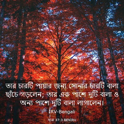 Picture 03 - যাত্ৰা 37:3 BENIRV - তার চারটি পায়ার - Bible Verse Picture