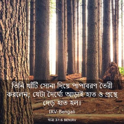 Picture 03 - যাত্ৰা 37:6 BENIRV - তিনি খাঁটি সোনা - Bible Verse Picture