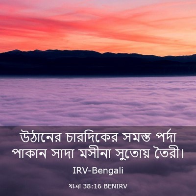 Picture 03 - যাত্ৰা 38:16 BENIRV - উঠানের চারদিকের - Bible Verse Picture