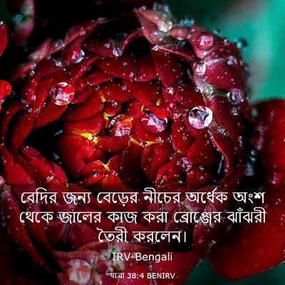 Picture 03 - যাত্ৰা 38:4 BENIRV - বেদির জন্য বেড়ের - Bible Verse Picture