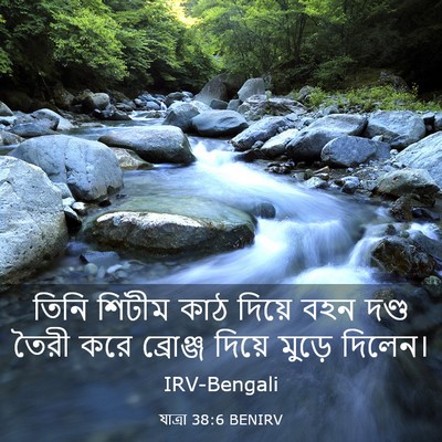 Picture 03 - যাত্ৰা 38:6 BENIRV - তিনি শিটীম কাঠ - Bible Verse Picture