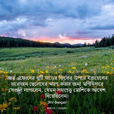 Picture 03 - যাত্ৰা 39:7 BENIRV - আর এফোদের দুটি - Bible Verse Picture