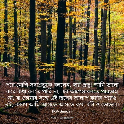 Picture 03 - যাত্ৰা 4:10 BENIRV - পরে মোশি - Bible Verse Picture