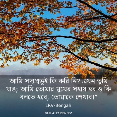 Picture 03 - যাত্ৰা 4:12 BENIRV - আমি সদাপ্রভুই কি - Bible Verse Picture