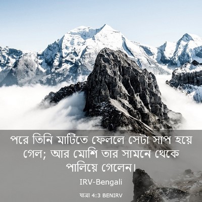 Picture 03 - যাত্ৰা 4:3 BENIRV - পরে তিনি মাটিতে - Bible Verse Picture