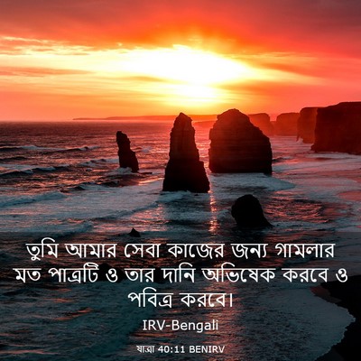 Picture 03 - যাত্ৰা 40:11 BENIRV - তুমি আমার সেবা - Bible Verse Picture