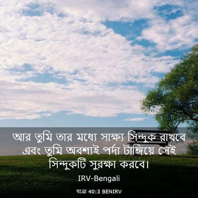 Picture 03 - যাত্ৰা 40:3 BENIRV - আর তুমি তার মধ্যে - Bible Verse Picture