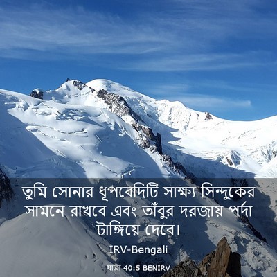 Picture 03 - যাত্ৰা 40:5 BENIRV - তুমি সোনার - Bible Verse Picture