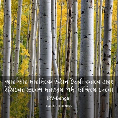 Picture 03 - যাত্ৰা 40:8 BENIRV - আর তার চারদিকে - Bible Verse Picture