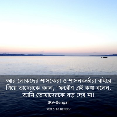 Picture 03 - যাত্ৰা 5:10 BENIRV - আর লোকদের শাসকেরা - Bible Verse Picture