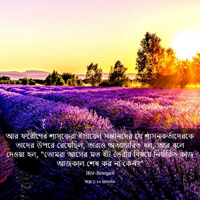 Picture 03 - যাত্ৰা 5:14 BENIRV - আর ফরৌণের শাসকেরা - Bible Verse Picture