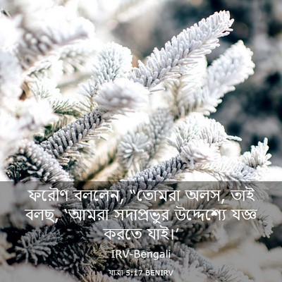 Picture 03 - যাত্ৰা 5:17 BENIRV - ফরৌণ বললেন, “তোমরা - Bible Verse Picture