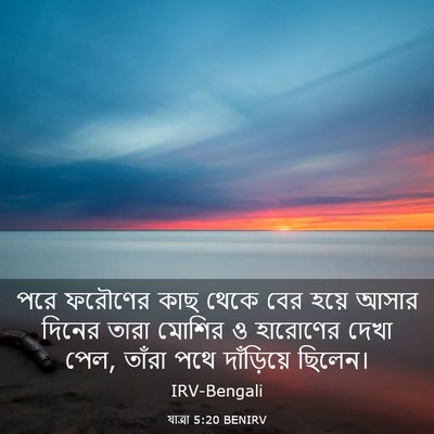 Picture 03 - যাত্ৰা 5:20 BENIRV - পরে ফরৌণের কাছ - Bible Verse Picture