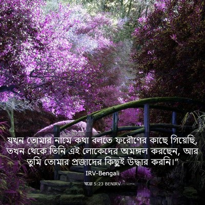 Picture 03 - যাত্ৰা 5:23 BENIRV - যখন তোমার নামে কথা - Bible Verse Picture
